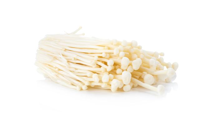 信邦如何高效的運(yùn)輸食用菌